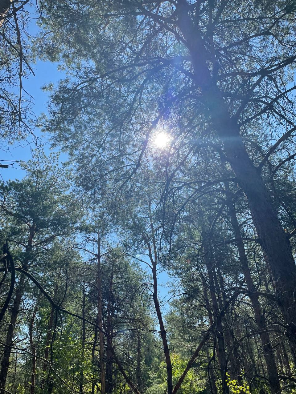 Уютная студия с панорамным окном