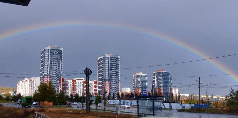 Морская студия с чайками