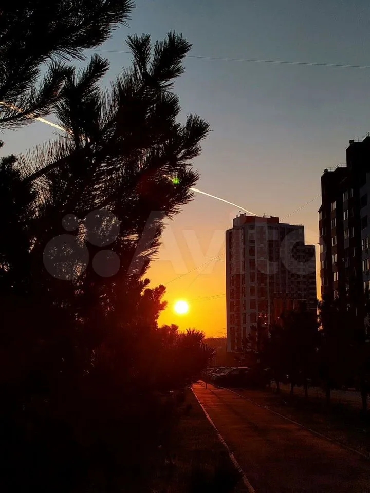 Морская студия с чайками